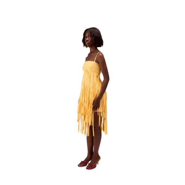 Yemi Fringe Dress - Image 2